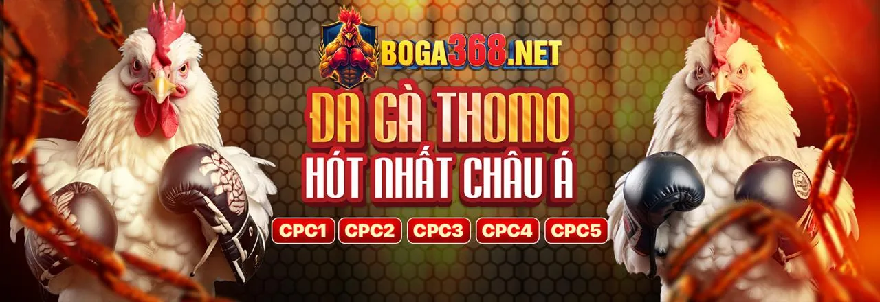 Khuyến mãi cá cược thể thao shbet0 app