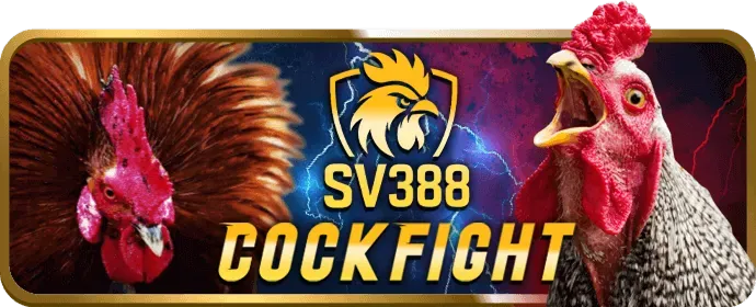 Shbet0 app ra mắt tính năng cá cược thể thao mới
